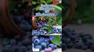 Largest Producer Of Blueberries 🫐United States #shorts #viral #funfacts #trending@WorldoPedia1.1M