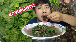 แกงเห็ดเผาะ (เห็ดถอบ) คนเมืองเหนือ เห็ดอ่อนทุกเม็ด มันๆ ลำขนาด