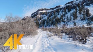 4K Winter Hike along the Northrup Canyon Trail - Short Preview Video