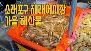 [4K] 소래포구 재래어시장- 2019년 10월 Incheon Sorae fish market