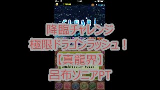 【パズドラ】　降臨チャレンジ　極限ドラゴンラッシュ！　【真龍界】　呂布ソニアPT