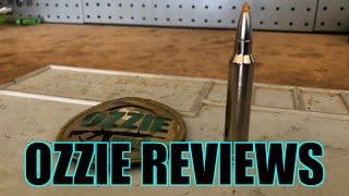 Beginner Basics #24 The 300 Winchester Magnum Caliber (pros/cons)