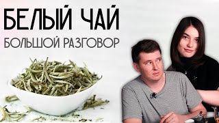 Белый чай | Большой разговор о происхождении, регионах и процессе состаривания