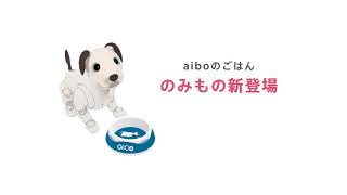 aiboのごはん のみもの