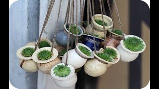 20 Ideas perfectas con suculentas para decorar un lindo jardín !