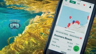 DiveViz: App for Underwater Visibility and Dive Conditions