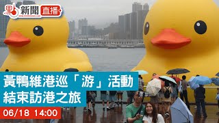 【點直播】黃鴨維港巡「游」活動 結束訪港之旅｜6月18日