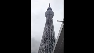 180530 54 すみだ水族館：1 調査開始