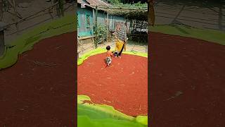 আজকে সারাদিন বাড়িতে কাজ করলাম #shorts #youtubeshorts #shortvideo #villagescene  #viralvideo