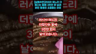 러시아 며느리 더럽다는 말에 3천만원 날려버린 여동생