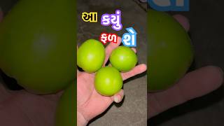 આ કયું ફળ શે ? #shorts #shortvideo #youtubeshorts #ytshort