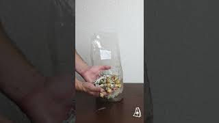 How To Grow Mushrooms With The Magic Bag