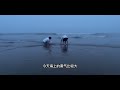 青岛哪里可以逮到大螃蟹？入海口发现赶海宝地，吃海鲜不用买了