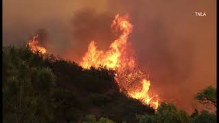 Raging wildfire destroying Pacific Palisades in Los Angeles, California