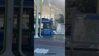 München Munich Münchner Freiheit Straßenbahn Tram #shorts