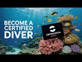 Scuba Certification Doesn't Have to Be Fast
