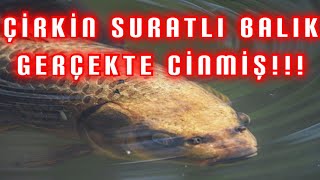 Gölün Altındaki Defineyi Koruyan Cinlerle Dost oldum TEK PART | #Korku Hikayeleri |#define | #Altın