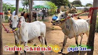 ஓசிலயே ஓட்ட போட்ரும் போல | ஓடிப்போ | Sooriur 2022