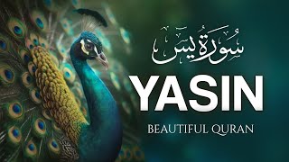 Surah Yasin (Yaseen) سورة يس | Amazing Voice Quran Recitation | Zikrullah TV