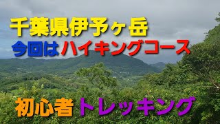 千葉県の低登山シリーズ、伊予ヶ岳