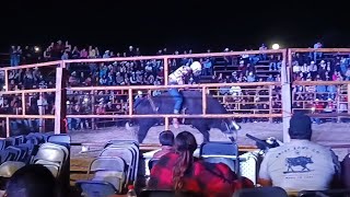 Jaripeo en Las Ranas