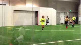 Goalie highlights 12.13.14 u12 Alphas vs. u12 revolution.