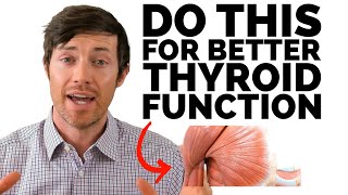 Fix your thyroid with more muscle mass