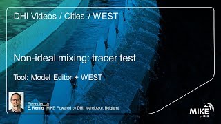 Dynamic simulation of a tracer test