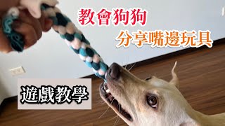 教會狗狗分享玩具！狗狗遊戲互動教學