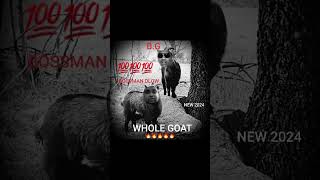 BossMan Dlow \u0026 B.G - Whole Goat🐐🔥🔥🔥(FULL)💰🔥💨(NEW 2024)💵😱