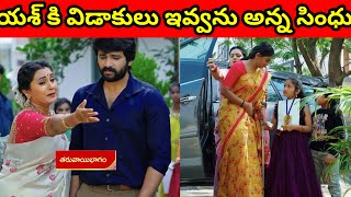 manasantha nuvve serial latest episode 09-01-2025 | manasantha nuvve serial today episode