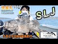 【SLJ仙台湾ジギング】　３月２５日SLJで狙う仙台湾春の根魚五目釣行