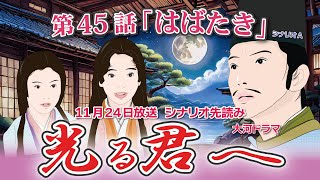 NHK大河ドラマ　光る君へ　第45話「はばたき」 シナリオ  Aドラマ展開・先読み解説  この記事は ドラマの行方を予測して お届けいたします  2024年11月24日放送予定