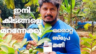 ജൈവ കീടനാശിനി | Magic Pesticide to save Plant | Organic Pesticide for Plants | Jaiva Keedanashini