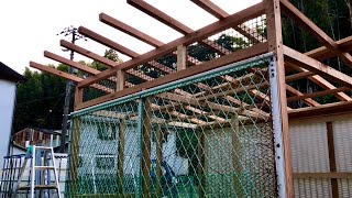 #【DIY】新しい鶏小屋を建築中「日・中字幕」