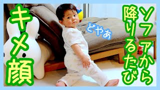 ソファは足から降りれるよ！/パパと追いかけっこ【生後１０か月】〈He can get off the sofa!!/ Chasing dad〉