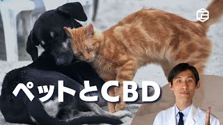 ペットとCBD