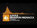 [Melodic House] - A.M.R & Brandon Mignacca - Wounds (Extended Mix) [Familiar Faces LP]