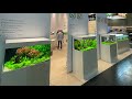 STUNNING PLANTED TANKS AT INTERZOO 2022 MUST SEE VLOG!!