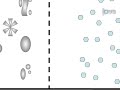 BN PAGE Gel Electrophoresis