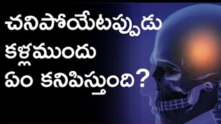 చనిపోయిన ముందు మనకు ఎం కనబడుతోంది...