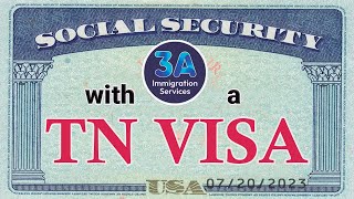 Unlocking the SSN: How to Obtain a Social Security Number on a TN Visa! 💼🔍