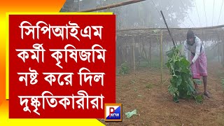 আবারো রাতের আঁধারে চড়িলাম রাজিব কলোনি এলাকায় এক কৃষকের কৃষি জমি নষ্ট করে দিল দুষ্কৃতিকারীরা