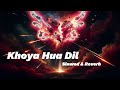 khoya hua dil slowed & reverb//new song 2024//new sad song 2024//trending song 2024