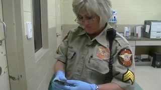 Behind the Bars in Madison County