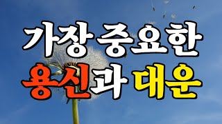 [사주 전문가] 사주에 가장 중요한 용신과 대운에 관하여