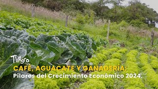 Café, Aguacate y Ganadería: Pilares del Crecimiento Económico 2024 - TvAgro por Juan Gonzalo Angel