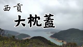 【綠悠悠行山系列#43】西貢大枕蓋 | 俯瞰萬宜水庫及群山景色 | 欣賞吊鐘花路線 鹿湖郊遊徑 | 行山路徑介紹 | 訂閲、點讚、分享、留言