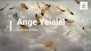 N°58 Ange Yeialel 6 Janvier au 10 Janvier