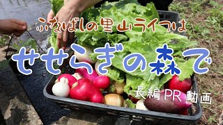 船橋市の里山／行々林せせらぎの森【PR動画 】